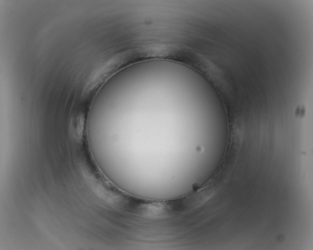 X0000113610118200909251152