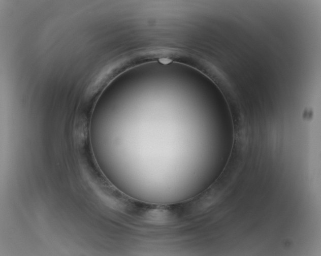 X0000113610119200909251152