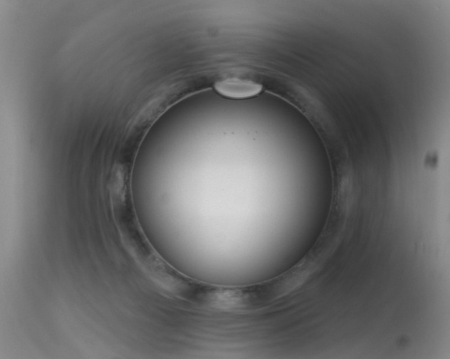 X0000113610121200909251152