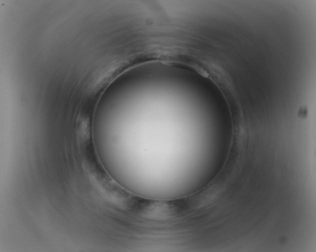 X0000113610123200909251152