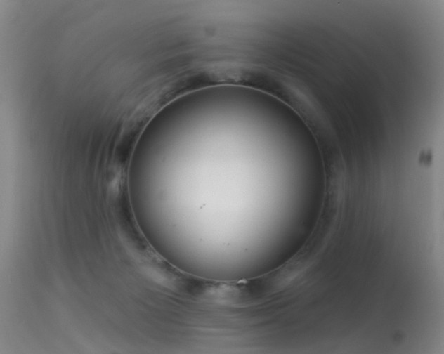 X0000113610125200909251152