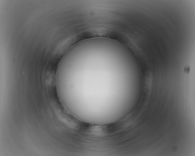 X0000113610126200909251152