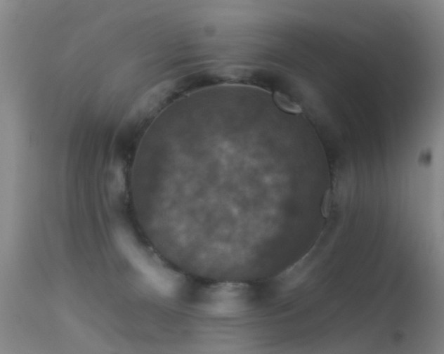 X0000113610128200909251151