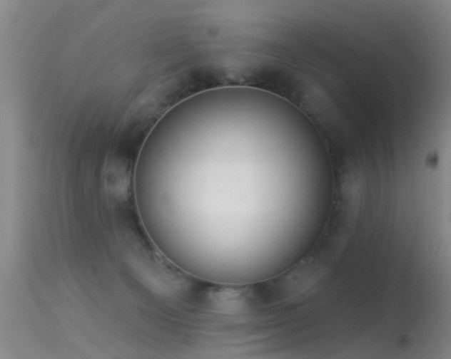 X0000113610129200909251151