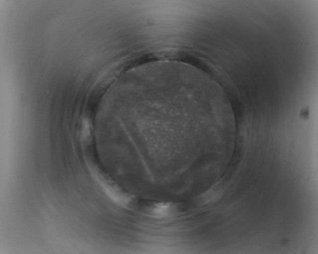 X0000113610130200909251151