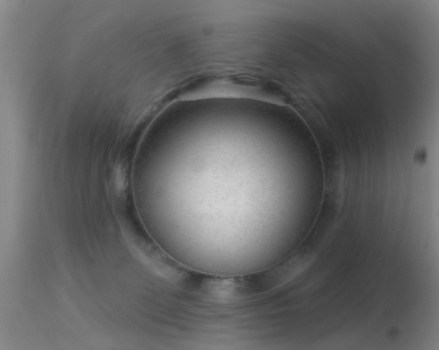 X0000113610131200909251151