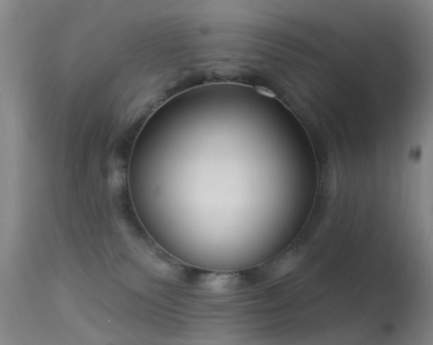 X0000113610135200909251151