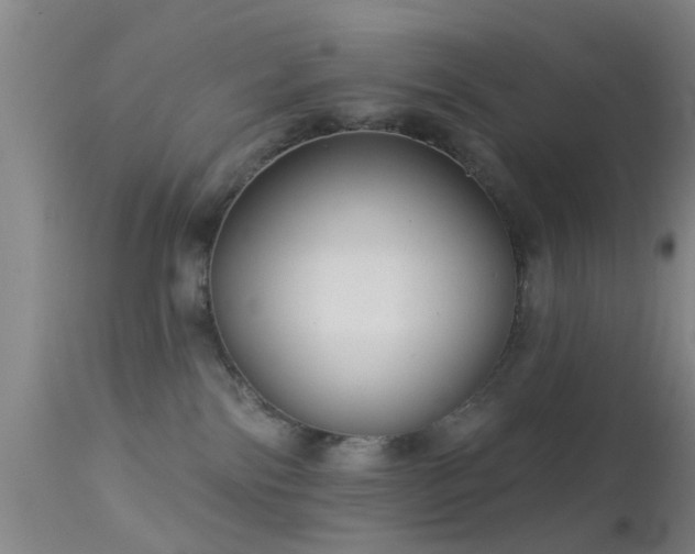 X0000113610138200909251151