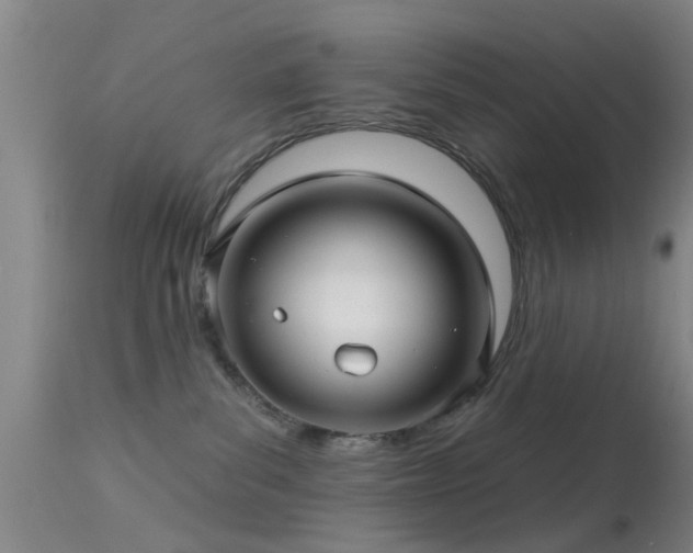 X0000113610139200909251151