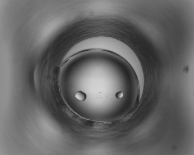 X0000113610140200909251151