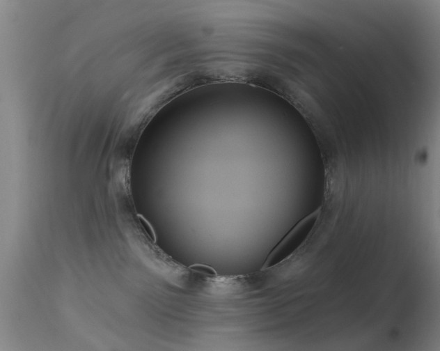 X0000113610141200909251151