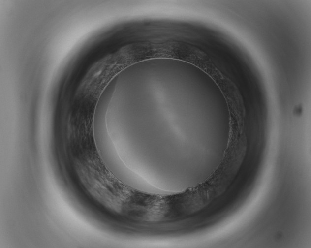 X0000113610143200909251151