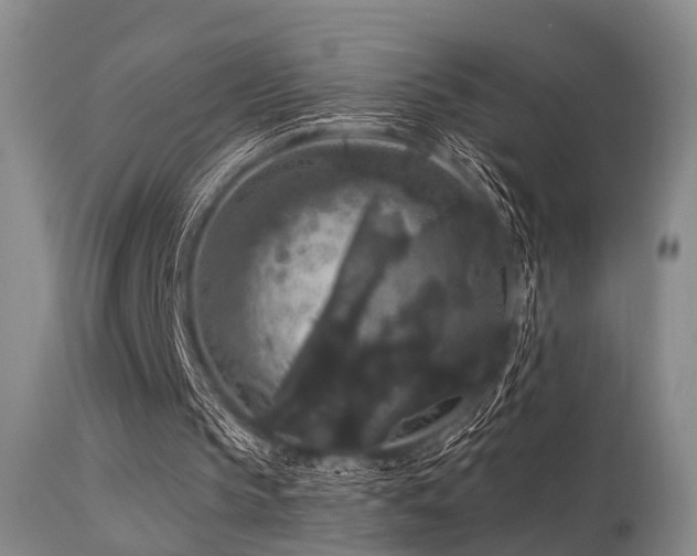 X0000113610145200909251151