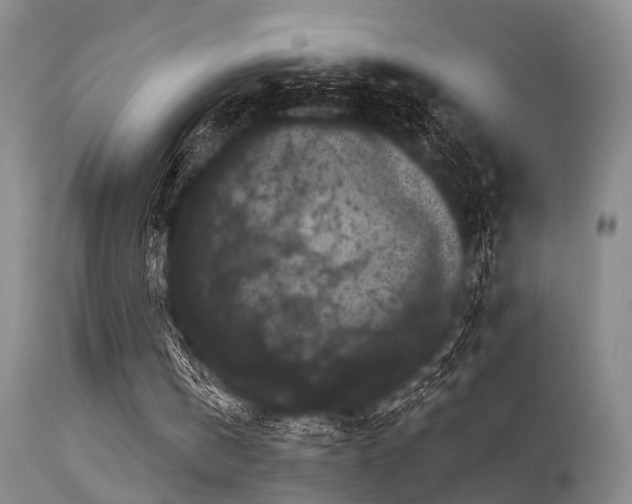 X0000113610146200909251151