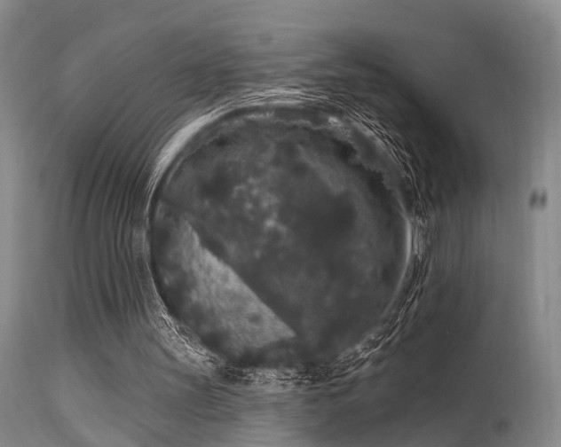 X0000113610147200909251151