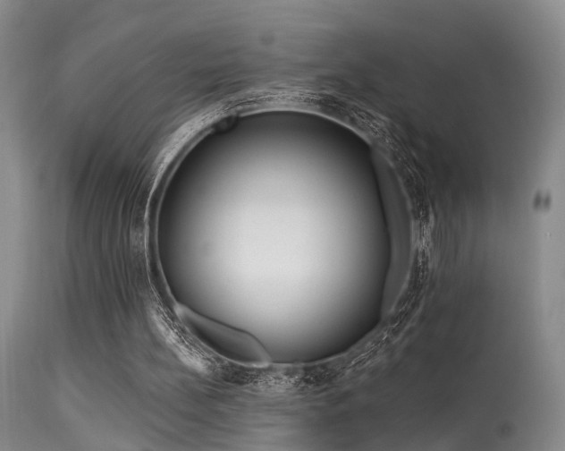 X0000113610148200909251151