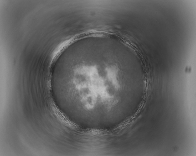 X0000113610149200909251151