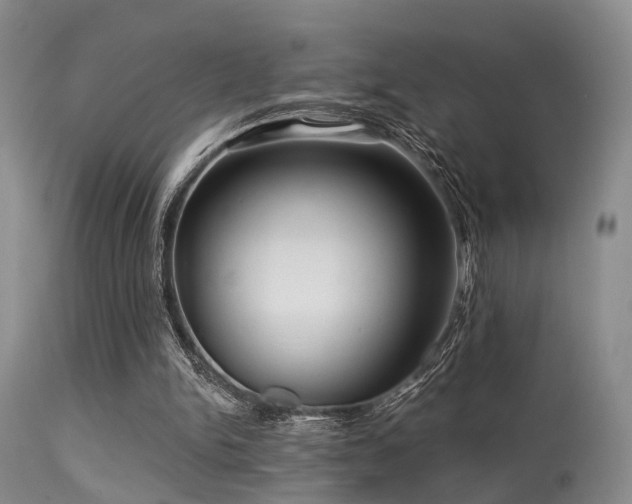 X0000113610150200909251151