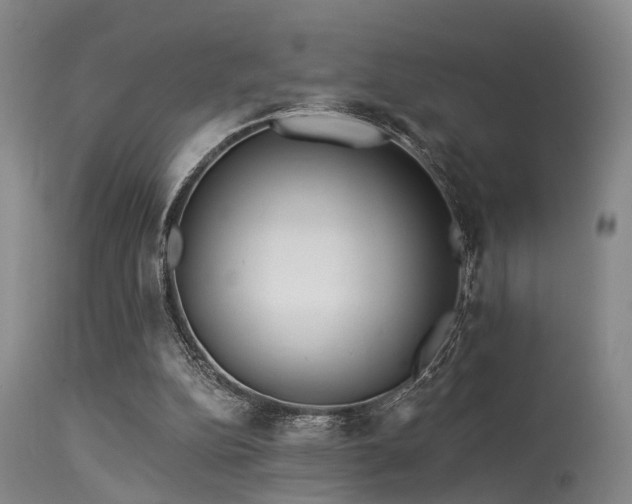 X0000113610152200909251151