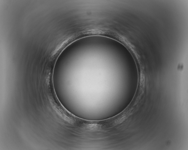 X0000113610153200909251151