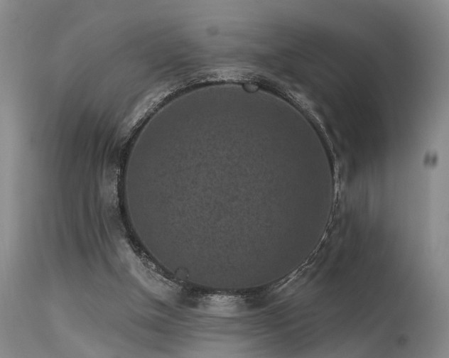 X0000113610154200909251151