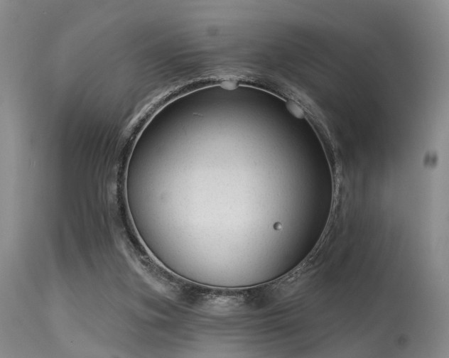 X0000113610155200909251151