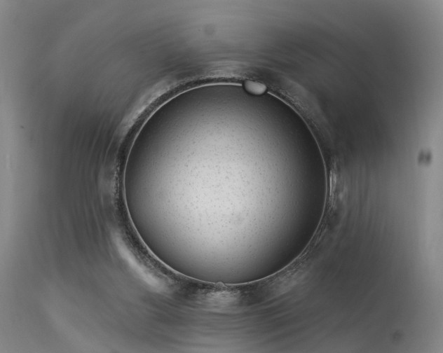 X0000113610156200909251151