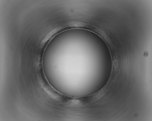 X0000113610159200909251151