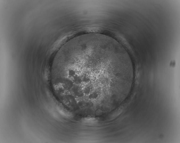 X0000113610161200909251151