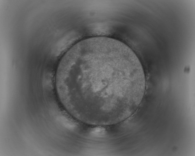 X0000113610162200909251151