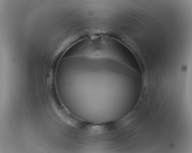 X0000113610163200909251151