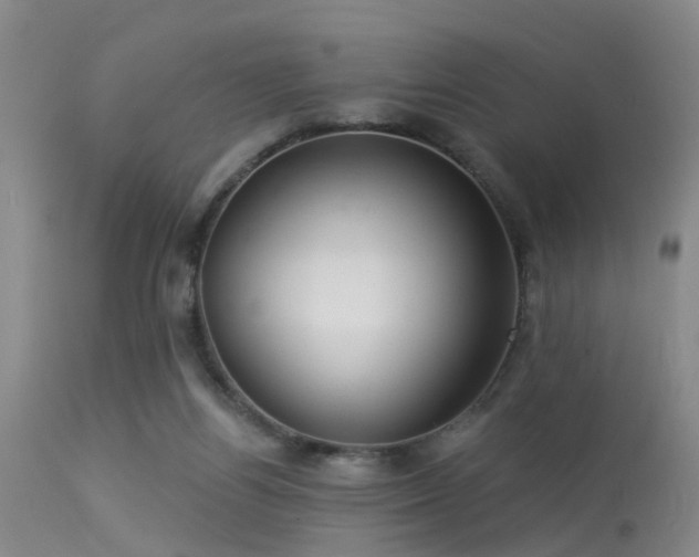 X0000113610164200909251151