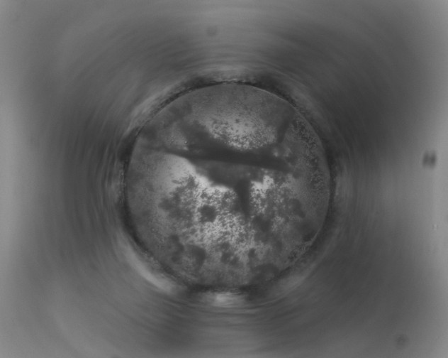 X0000113610165200909251151