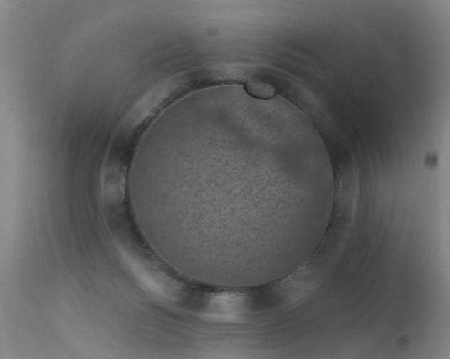 X0000113610168200909251151