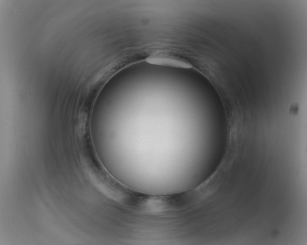 X0000113610171200909251151