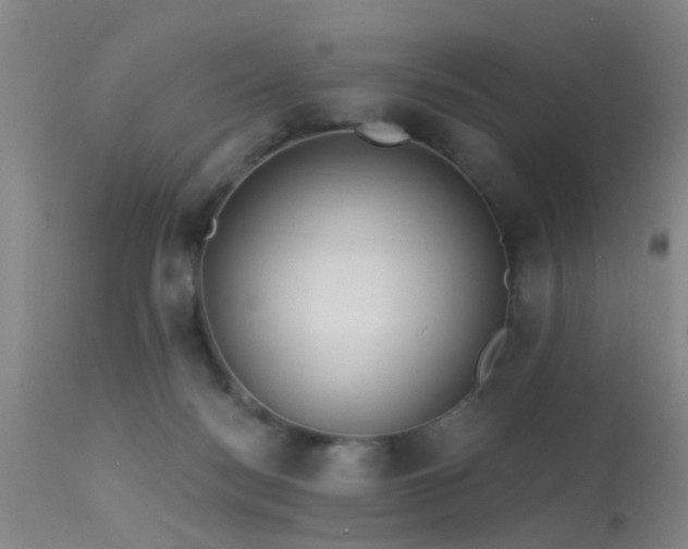 X0000113610172200909251151