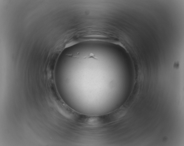 X0000113610173200909251151