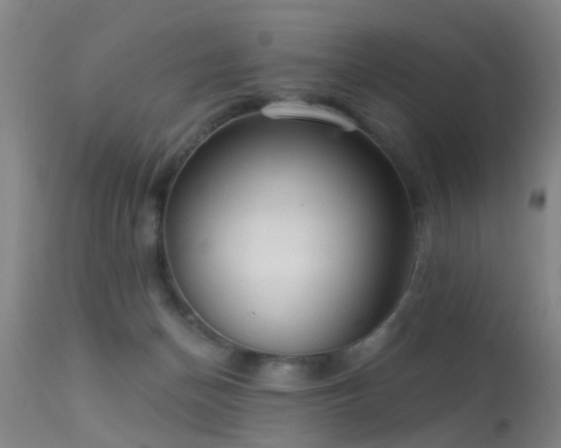 X0000113610174200909251151