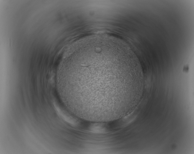 X0000113610175200909251151