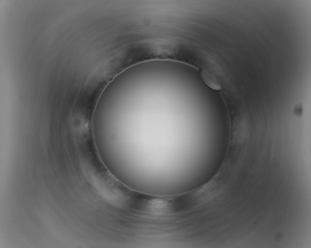 X0000113610176200909251151