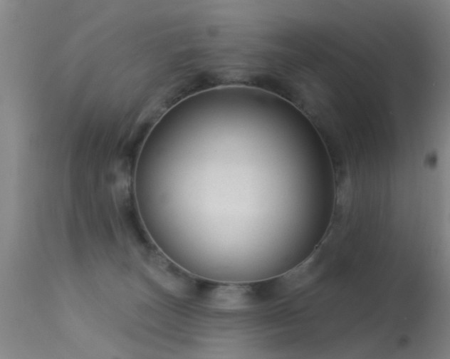 X0000113610179200909251151