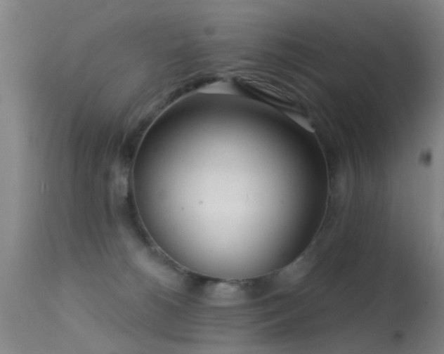 X0000113610180200909251151