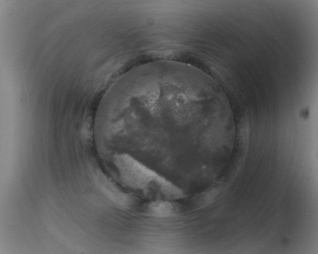 X0000113610181200909251151