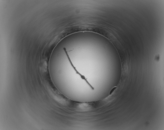 X0000113610183200909251151