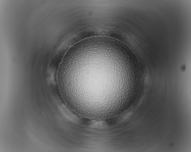 X0000113610185200909251151