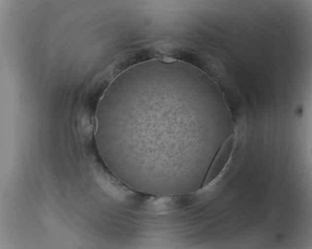 X0000113610186200909251151