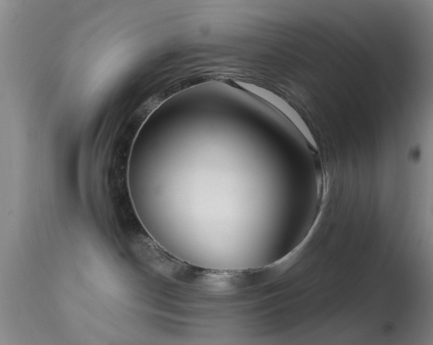 X0000113610190200909251151