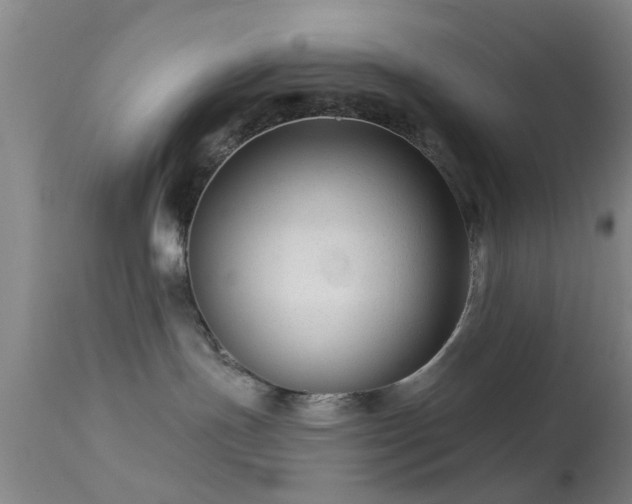 X0000113610191200909251151