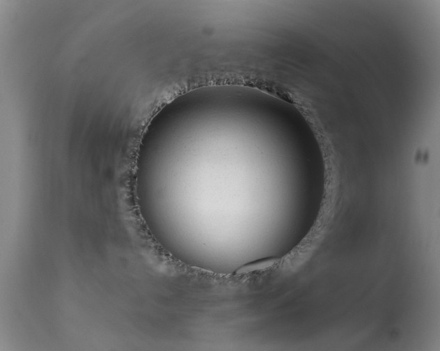 X0000113610192200909251151