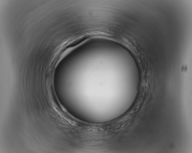 X0000113610193200909251151